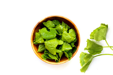 Gotu kola, fresh green leaves