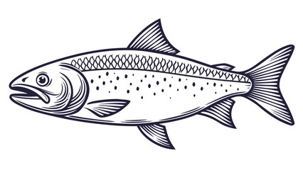 Adobe Illustrator ArtDetailed fish drawing vector illustrationwork