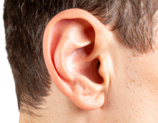 Close-up of human ear isolated on transparent background PNG