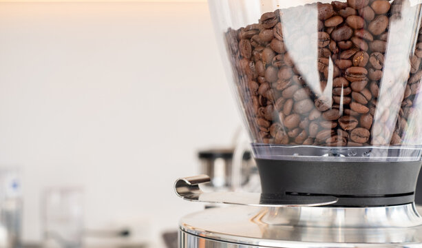 Roasted coffee beans inside a transparent coffee grinder hopper in a modern cafe setting.