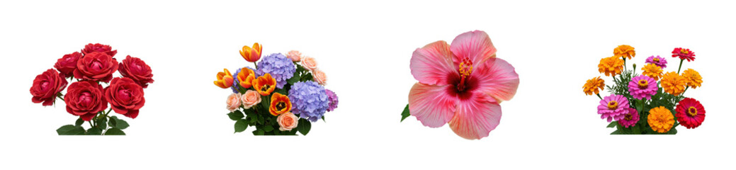 Naklejka premium Flower arrangement display botanical garden bright environment nature's beauty. Set PNG