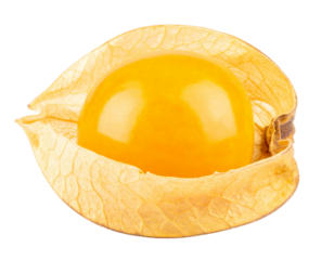 Bright orange cape gooseberries with leaves PNG