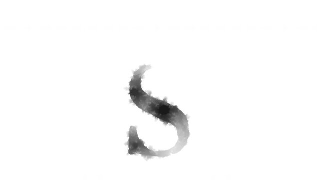 The lowercase letter "s" appears as if ink has bled onto the paper, serif	

