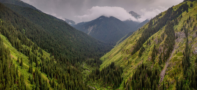 Fototapeta Storm clouds gathering over gorge in Tian Shan, creating a dramatic landscape of green mountains and valleys