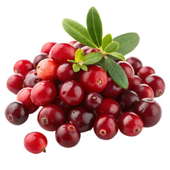 A bunch of cranberries isolated on a transparent background
