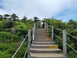 JEJU island KOREA 한라산7542