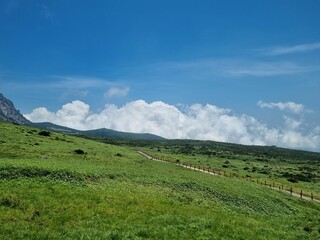 Fototapeta premium JEJU island KOREA 한라산221