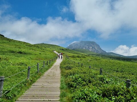 JEJU island KOREA 한라산433