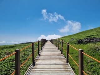 Fototapeta premium JEJU island KOREA 한라산11