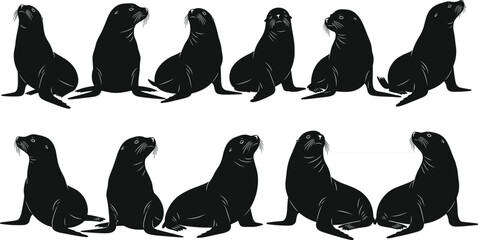 Seal silhouette vector set, marine animal icon, sitting seal graphic, ocean wildlife illustration, black shape design, aquatic mammal pose collection