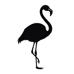 Pink flamingo silhouette isolated on white, a tropical bird vector illustration