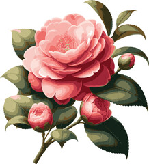 Pink Camellia Flower Bundle Vector Illutstration