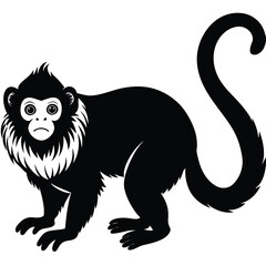 monkey vector animal