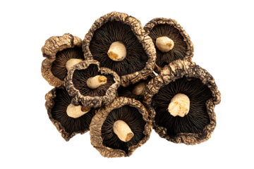 Close up of dried shiitake mushrooms. Delicious, umami flavor. Asian cuisine.