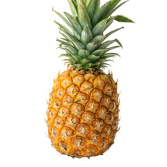 Fototapeta premium A whole pineapple with skin isolated on a transparent background 