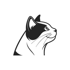 a vector illustration of a cat head front facing