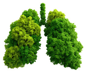 Lungs Made of Lush Green Trees Symbolizing Environmental Health and Nature's Vital Role in Air Quality