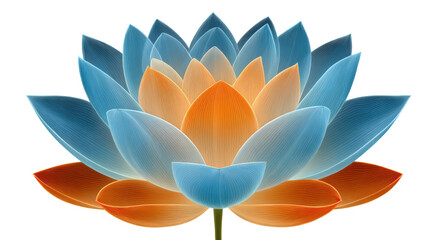 Obraz premium Delicate Blue and Orange Water Lily Blooming in Soft Pastel Colors Against a Bright Background