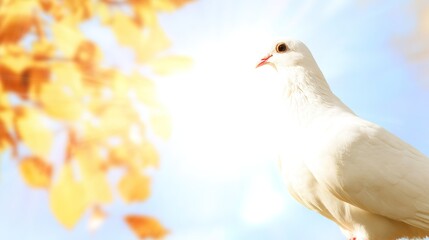 Obraz premium White dove holding an olive branch against a soft blue sky, golden autumn leaves blurred behind.