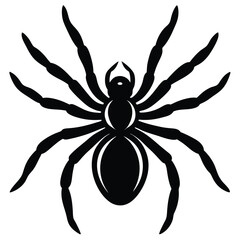 spaider vecror animal