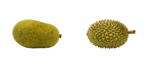 Harvesting durian and jackfruit tropical fruits display market setting focus vibrant environment. Set PNG
