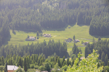 Picturesque alpine landscape with green valley and mountain forest in Switzerland