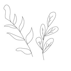 Branch with Leaves Silhouette | Botanical Nature Vector Illustration