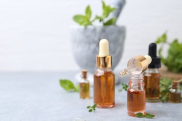 Bottles of aromatic essential oils and herbs on light grey table against white background, closeup....