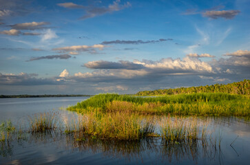 Obraz premium Upper Myakka Lake in late afternoon light in Myakka River State Park in Sarasota Floirida USA
