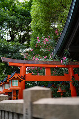 Torii Gates Surrounded by Greenery Near Namba, Osaka