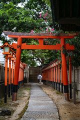 Torii Gates Surrounded by Greenery Near Namba, Osaka