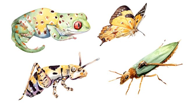 Watercolor set of African animals and trees on white background