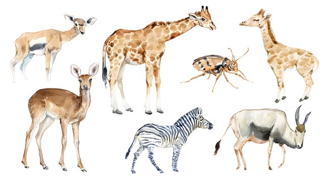 Watercolor set of African animals and trees on white background