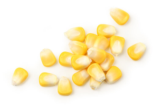 Fresh corn seeds isolated on white background.