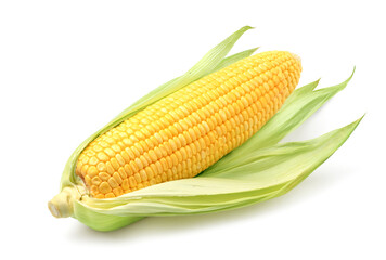 Fresh corn isolated on white.