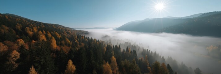 Misty autumn forest in the mountains with sunlight breaking through
