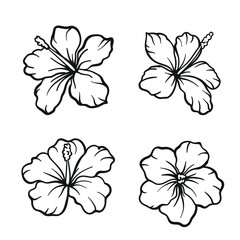 hibiscus flowers set line art, hibiscus flower line art vector illustration