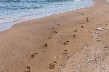 Barefoot Footprints Leading from Ocean to Shore on Beach