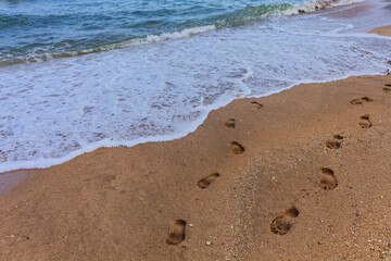 Footprints trail across wet sand near shore where shallow waves gently touch sand. Sunlight highlights detailed imprints of bare feet leading towards ocean.