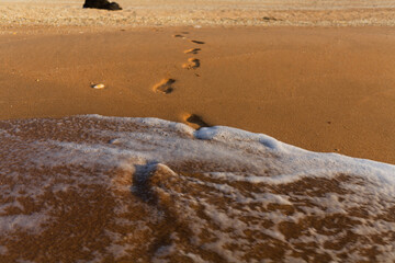 Footprints Leading to Ocean at Sunset