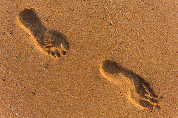 Footprints Leading Along Sandy Beach at Sunset