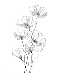 Obraz premium hand drawn flower