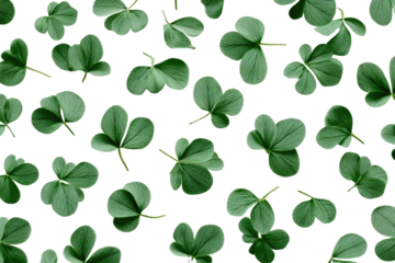 Fresh green clover leaves scattered on black background