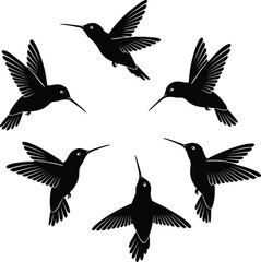 Hummingbird silhouettes in circular pattern, flying bird poses, nature vector art, symmetry, wildlife icon, decorative design, graceful motion