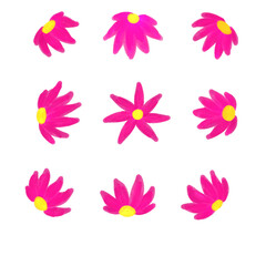 Design set of colorful pink flower