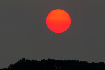 Dramatic red sun setting behind a wooded valley in the Dordogne, France. The red shades caused by...