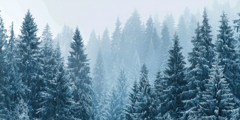 Obraz premium Serene Winter Landscape with Snow-Covered Evergreen Forest