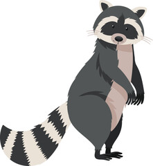 Raccoon in Nature Wildlife Animal