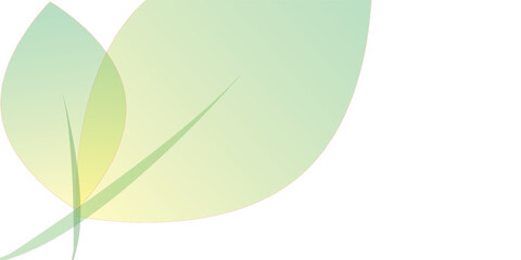 Abstract design of two overlapping translucent leaves with a soft green and yellow gradient.