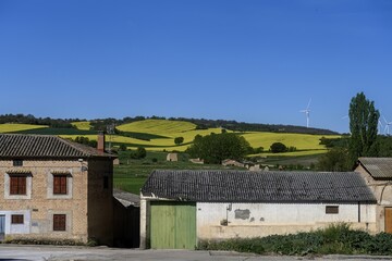 Valdecanas de Cerrato homes with rapeseed fields and wind turbines in the background